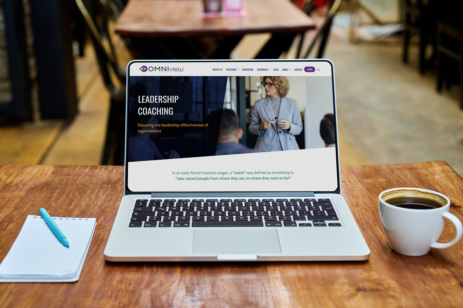 OMNIview Website